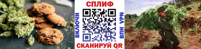 Купить где  Талица  Печенье с ТГК марихуана 