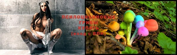 mix Карпинск