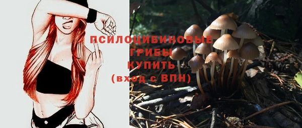 mix Карпинск