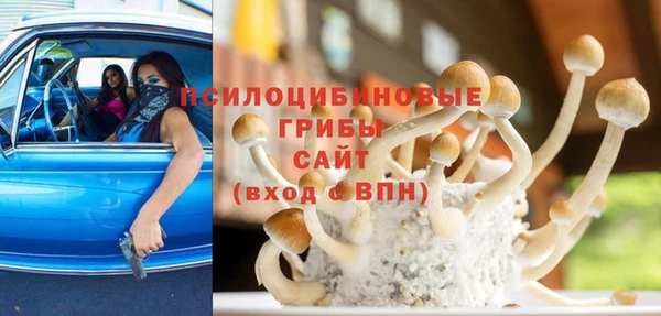 спиды Карталы