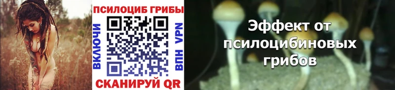 Галлюциногенные грибы Cubensis  Купить  Талица 